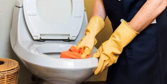 toilet